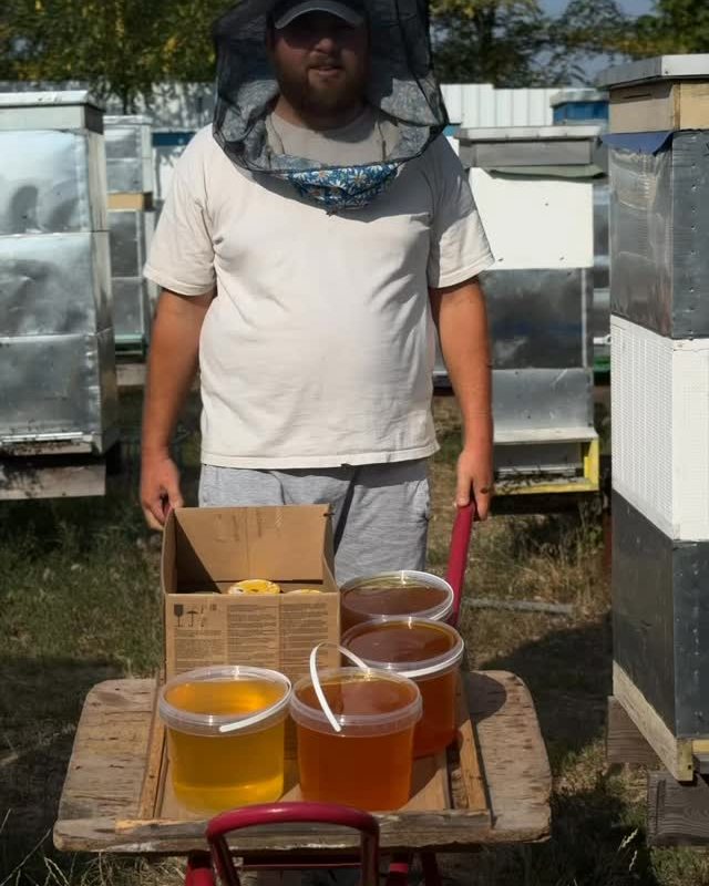 Recolta, direct din stupină