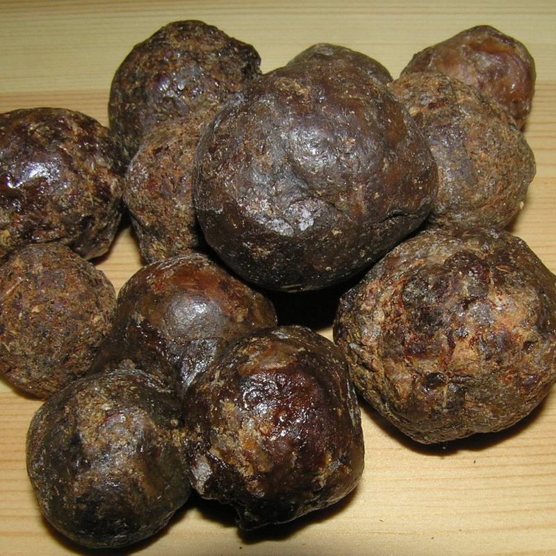 Propolis — 1
